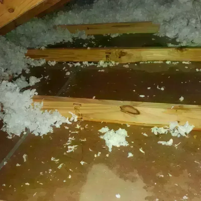 Attic Water Damage in Butte County, SD